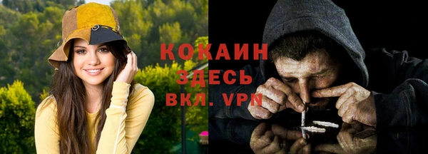 сатива Абаза