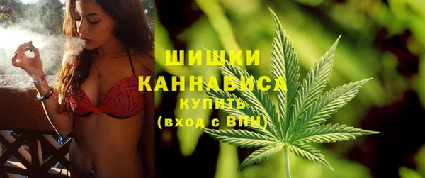 сатива Абаза